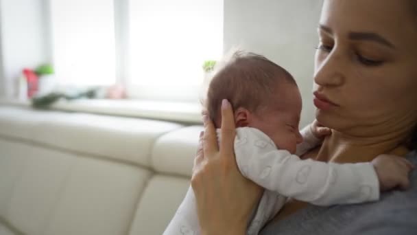 Zblízka novorozeně dítě snění na hrudi matek v nemocniční porodnici — Stock video