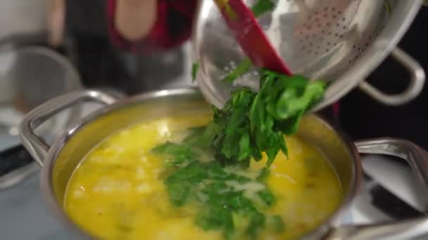 Žena servíruje chutnou zeleninovou polévku se spianchem — Stock video