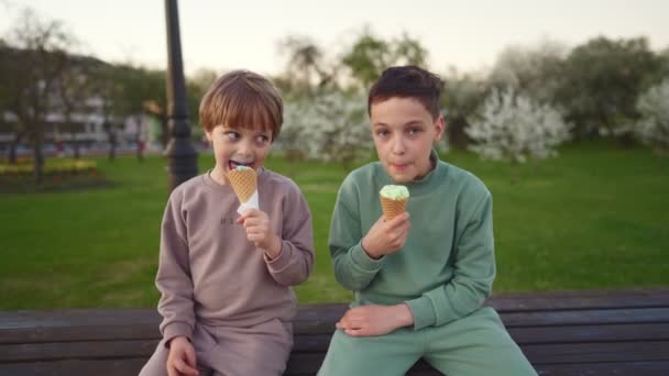 Twee jongens die in het voorjaar ijs eten in het park — Stockvideo