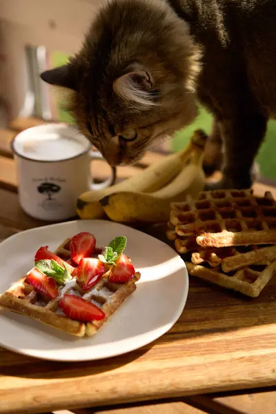 Nahaufnahme des Frühstücks belgische Waffeln mit Erdbeere und Banane mit Minze auf Holzgrund — Stockfoto