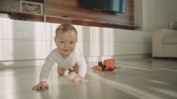 Cute happy little toddler baby boy is crawling on a wooden floor at home. Concept: life, childhood, first year of life, parenthood, home — Stock Video