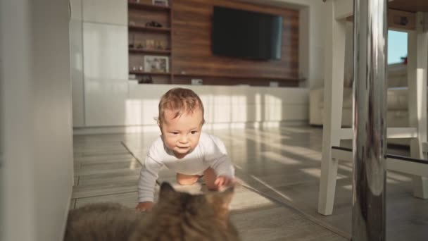 Baby playing with cat. tomcat on carpet near burning fireplace at home comfort. striped kitten play with ball of thread. kitty run looking at camera. happy adorable pet, childhood, wild nature concept — Stock Video