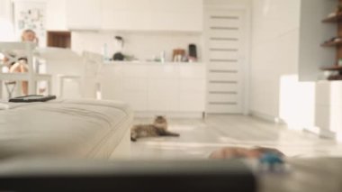 Çocuğun kanepenin yanında ayağa kalkması için yapılan ilk girişimler. Bir çocuğun hayatının ilk yılı. çocuk gelişimi