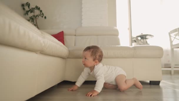 Pierwsze próby dziecka, aby wstać w pobliżu sofy. Pierwszy rok w życiu dziecka. rozwój dziecka — Wideo stockowe