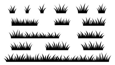 Siluet Çimenleri Beyaz Arkaplanda Ayrı Tutuldu