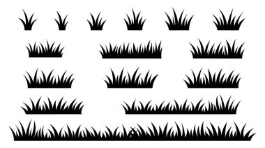 Siluet Çimenleri Beyaz Arkaplanda Ayrı Tutuldu