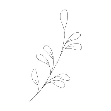 Yaprakları olan ince bir dal. Doodle minimalist stil siyah ikonu. El çizimi çizimi. Tebrik kartı şablonu, basit logo, şirin dekorasyonlar, davetiyeler, kozmetik tasarımlar, hediyeler..