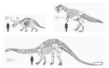 dinozor ve kemikler