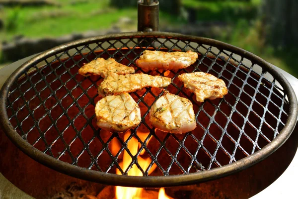 Gros Plan Délicieuse Viande Grillée Sur Gril — Photo