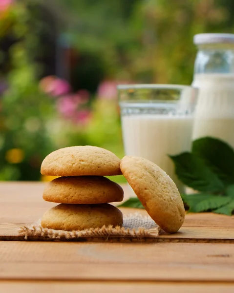 Galletas y leche, verano al aire libre — Foto de Stock