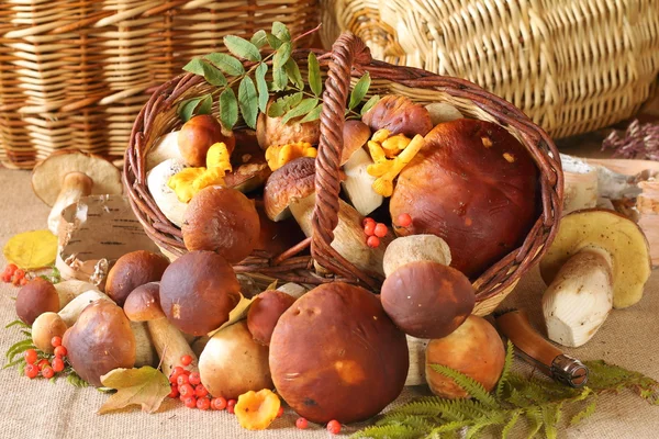 Champignons blancs sur la table de cuisine . — Photo