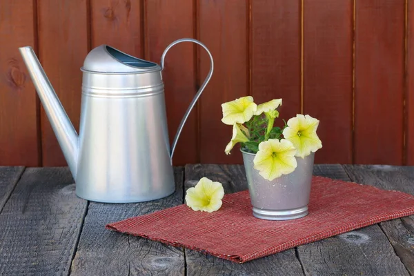 Sommerstillleben Über Das Konzept Der Gartenarbeit Des Wachsens Der Pflege — Stockfoto