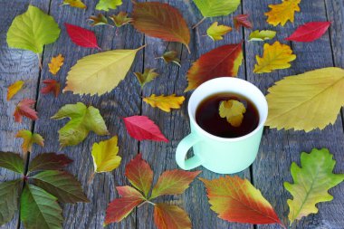 Sonbahar yapraklarının arasında, ahşap bir masanın üzerinde seramik bir fincan siyah çay. Sonbahar kavramı, konfor, konfor. 