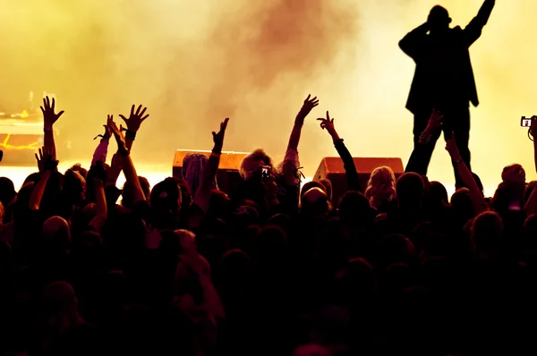 Parlak sahne ışıkları önünde konser kalabalığının siluetleri