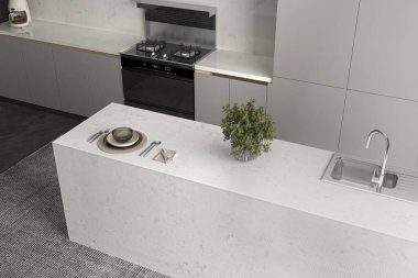 Modüler mutfak iç döşemesi desenli fayanslar ve beyaz kuvars atölyesi ile tam boy geri sıçrama, cam çatal takımı servis ediliyor. 3B Hazırlama