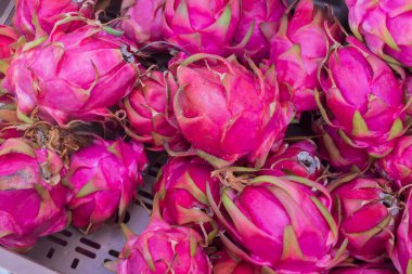 Heap of ripe dragon fruits with natural pink peel on market table. Exotic tropical pitahaya fruit rich in nutrients and fiber. Healthy organic food concept.