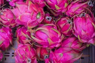 Heap of ripe dragon fruits with natural pink peel on market table. Exotic tropical pitahaya fruit rich in nutrients and fiber. Healthy organic food concept.
