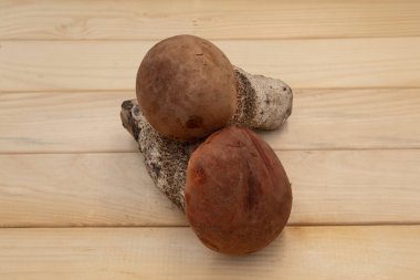 Sonbahar orman mantarları, portakal kaplamalı ve ahşap masa üzerinde kalın saplı. Doğal organik besinler vahşi hasatı, kırsal doğayı ve mevsimsel yemekleri sembolize eder..