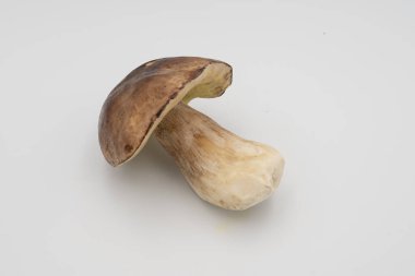 Beyaz arka planda izole edilmiş taze porcini mantarı. Organik boletus, detaylı dokuya sahip, yemek pişirme, tarif tasarımı, sağlıklı beslenme, restoran menüsü ve gıda endüstrisi için ideal görsel.