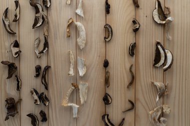 Dilimlenmiş yabani mantar sıraları iplerle işlenmiş ve ahşap tahtalarda kurutuluyor. Yiyeceği korumak için geleneksel yöntem, yemek pişirmek için doğal organik malzeme, kırsal mutfak konsepti.