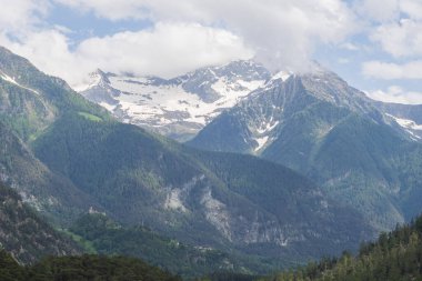 Alp dağlarının karlı sırtı bulutlu gün ışığı altında katmanlı yeşil orman tepelerinin üzerinde. Doğa ve macera temaları için güzel seyahat manzarası.