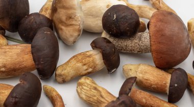 Kahverengi şapkalı ve beyaz arka plana serpilmiş taze saplı çeşitli orman mantarları. Doğal yenilebilir hasat yemek, organik gıda ve kırsal mutfak kavramları için mükemmeldir..