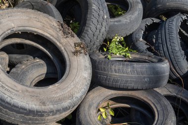 Hurdalıkta kullanılmış ve hasarlı lastik koleksiyonu. Geri dönüşüm, atık, otomotiv malzemeleri ve çevre sorunları kavramı.
