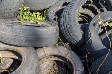Hurdalıkta kullanılmış ve hasarlı lastik koleksiyonu. Geri dönüşüm, atık, otomotiv malzemeleri ve çevre sorunları kavramı.