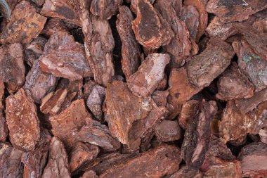 Peyzaj, bahçıvanlık ve ekolojik tasarım için kahverengi çam kabuğunun desenli arka planı. Bahçelerde ya da çiçek yataklarında toprak örtüsü ve dekorasyon için doğal organik malzeme..