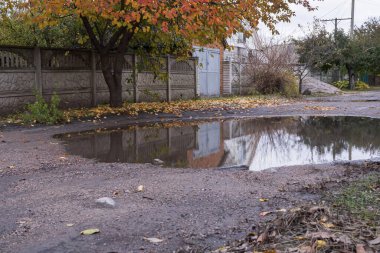 Çitlerin, evin ve yağmur birikintisindeki ağacın yansımasıyla sakin bir kırsal alan. Düşen yapraklar ve yumuşak doğal ışık ile sonbahar havası.