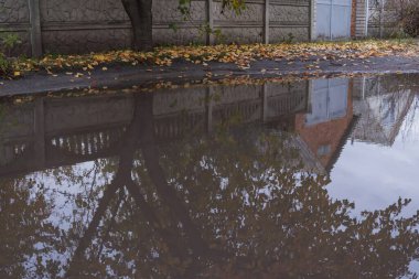 Çitlerin, evin ve yağmur birikintisindeki ağacın yansımasıyla sakin bir kırsal alan. Düşen yapraklar ve yumuşak doğal ışık ile sonbahar havası.