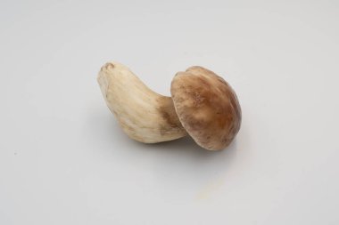 Beyaza izole edilmiş taze boletus edulis mantarları. Doğal, yenilebilir mantarlar gurme yemekleri, restoran menüleri, çiftçi pazarları ve mevsimlik sonbahar mutfağı için mükemmeldir..