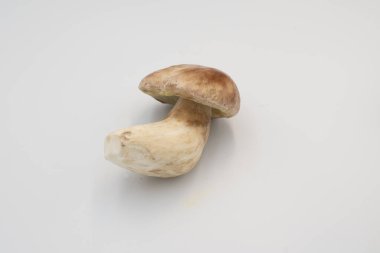 Beyaza izole edilmiş taze boletus edulis mantarları. Doğal, yenilebilir mantarlar gurme yemekleri, restoran menüleri, çiftçi pazarları ve mevsimlik sonbahar mutfağı için mükemmeldir..