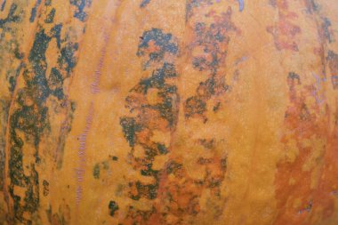 Doğal dokuyu, renk değişimlerini ve organik yüzey şekillerini gösteren kabak derisini kapatın. Sonbahar hasat temaları, gıda tasarım geçmişi, mevsimsel dekor görselleri ve doku örtüleri için ideal.