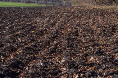 Tarım tarlası, yeni sürülmüş kara toprak ve düşen sonbahar yaprakları. Kırsal alanda tarım arazisi, kırsal doğa ve gelecek ekim dönemi için mevsimsel hazırlık.