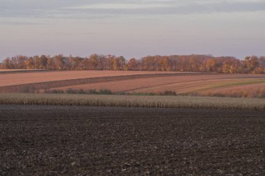 Sonbahar kırsalında tarım tarlaları, sürülmüş toprak, hasat ekipmanları ve gün batımında elektrik hatları