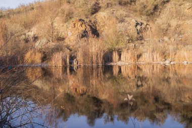 Terk edilmiş granit ocağında sakin bir göl. Kayalık kıyılar ve sonbahar ormanı sessiz sulara yansıyor. Gün batımında huzurlu doğal manzara.