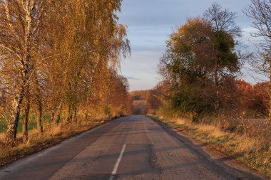 Kırsal yol, sıcak akşam güneşiyle aydınlatılan renkli sonbahar ağaçlarıyla dolu. Huzurlu kırsal atmosfer ve doğal mevsimsel güzellik.