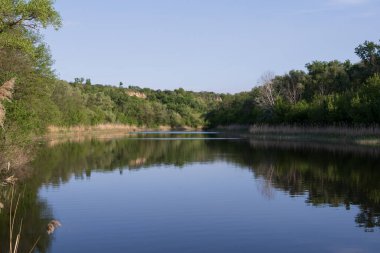 Yeşil ormanın yansımalarıyla sakin bir nehir ve güneşli bir bahar gününde sazlıklar, berrak su yüzeyi ve taze çayır otlarıyla huzurlu doğa manzarası.