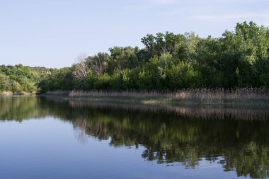 Yeşil ormanın yansımalarıyla sakin bir nehir ve güneşli bir bahar gününde sazlıklar, berrak su yüzeyi ve taze çayır otlarıyla huzurlu doğa manzarası.
