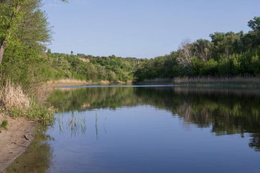 Yeşil ormanın yansımalarıyla sakin bir nehir ve güneşli bir bahar gününde sazlıklar, berrak su yüzeyi ve taze çayır otlarıyla huzurlu doğa manzarası.