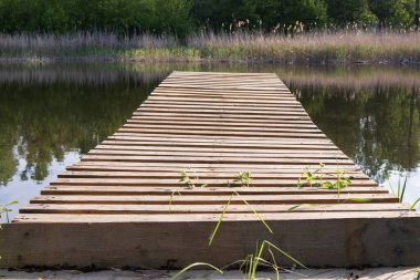 Sakin bir nehrin üzerindeki eski ahşap iskele taze yeşil bitki örtüsü ve yumuşak bahar ışığı ile çevrili.