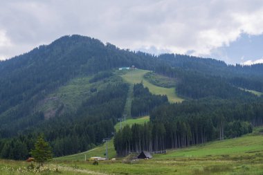Geniş çayırları, sık orman tepeleri ve köy binaları olan doğal dağ manzarası. Seyahat, doğa ve çevre konuları için ideal sakin kırsal görünüm.