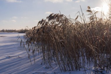 Kar ve kuru sazlıklarla kaplı donmuş bir nehrin üzerinde kış günbatımı. Alçak güneş uzun gölgeler ve yumuşak ışık yaratır. Sakin atmosfer, soğuk hava ve dokunulmamış doğa ifade eder..