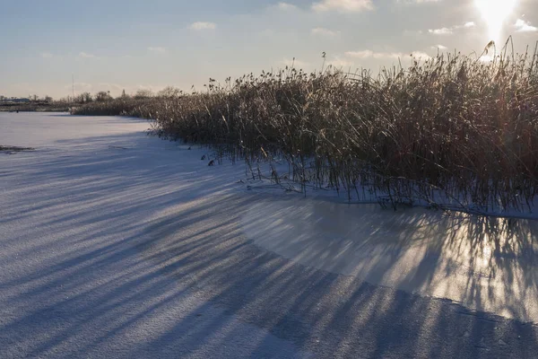 Kar ve kuru sazlıklarla kaplı donmuş bir nehrin üzerinde kış günbatımı. Alçak güneş uzun gölgeler ve yumuşak ışık yaratır. Sakin atmosfer, soğuk hava ve dokunulmamış doğa ifade eder..