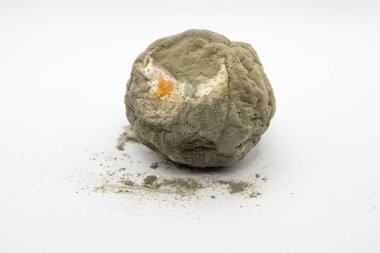 Küflenmiş çürük portakal beyaz arka planda izole edilmiş. Bozuk narenciye, mantar büyümesi, gıda kirliliği, organik çürüme ve çürüme dokusu..