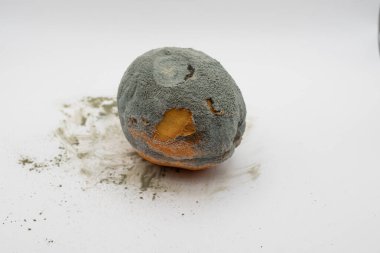 Bozuk turuncu, küf ve gözle görülür çürüme beyaz arka planda izole edilmiş. Organik çürüme, gıda güvenliği sorunu ve atık kavramı.