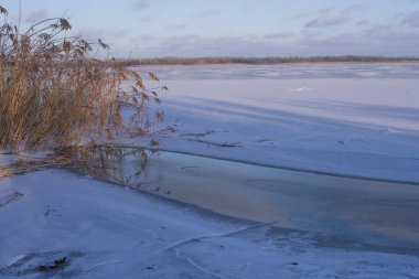 Natural frozen river with reeds and ice surface under soft winter light. Peaceful seasonal environment ideal for climate and winter nature concepts.