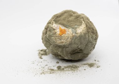Tamamen bozulmuş narenciye meyvesi ve beyaz arka planda ağır küfler var. Yiyecek bozulması ve kirlenme kavramı.
