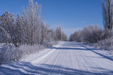 Buzlu kırsal yol buzlu ağaçlar ve parlak mavi gökyüzü ile çevrili. Kış yolculuğu ve soğuk hava konsepti.